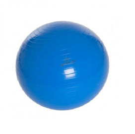 Гимнастическа топка SPARTAN 55 cм, синя width=
