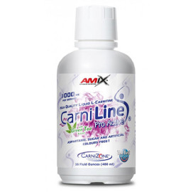 Карнитин AMIX CarniLine ® ProActive 480 ml. width=