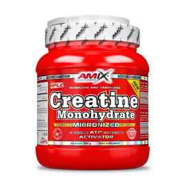 Креатин AMIX Creatine Monohydrate Powder width=