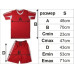 Детски екип за футбол, волейбол и хандбал - червен width=