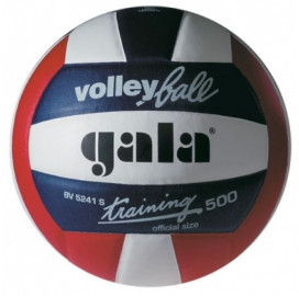 Волейболна топка Gala Training BV 5241 S width=