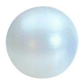 Гимнастическа топка MASTER  95см width=