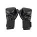 Боксови ръкавици MASTER 14 oz width=