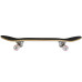 Скейтборд  SPARTAN Top Board width=