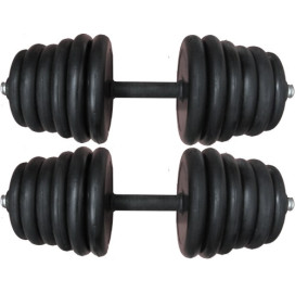 Дъмбели 2х20кг (композит.) width=