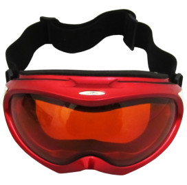 Очила за ски и сноуборд width=