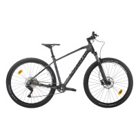 Велосипед Sprint APOLON PRO 29'', 440мм, сив