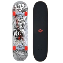 Скейтборд  SCHILDKROT Kicker 31 - Phantom, 79х20 см