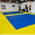Татами Bodyflex 100x100x4cм, синьо-жълто