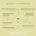 Ginkgo Hypericum, VEMOHERB, 60 капсули width=