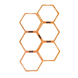 Тренировъчни пръстени MASTER Hexa