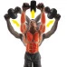 Колело за коремни преси IRON GYM Speed Abs