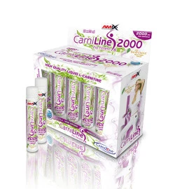 Фет Бърнър AMIX CarniLine ® Pro Fitness 2000, 25мл., 1 Ампула width=