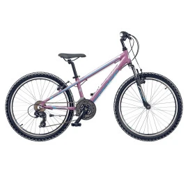 Велосипед Cross Speedster girl 26" new width=
