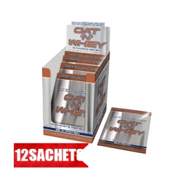 Протеин Scitec Nutrition Oat N Whey 12x92 гр width=
