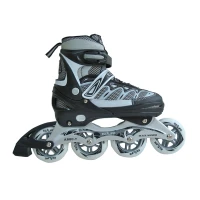 Ролери SPARTAN Easy Liner, M (35-38)