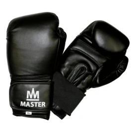 Боксови ръкавици MASTER TG10 width=